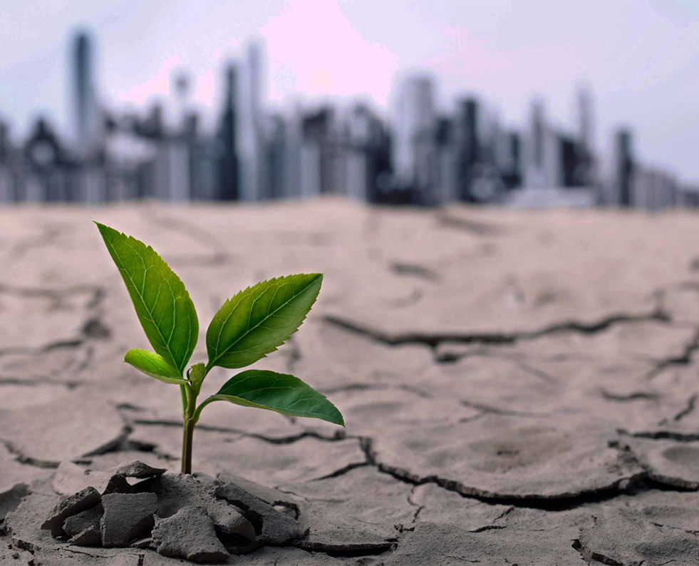 Climate Change